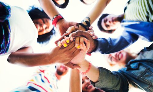 Titelbild Newsartikel Blumengeschichten