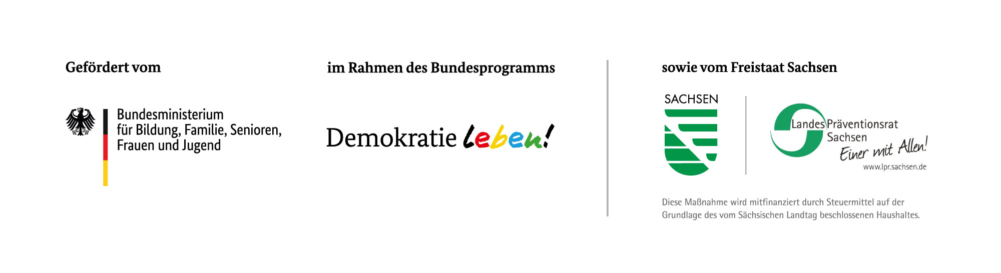 BMFSFJ Logo
